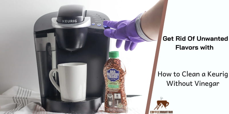 how to clean a keurig without vinegar